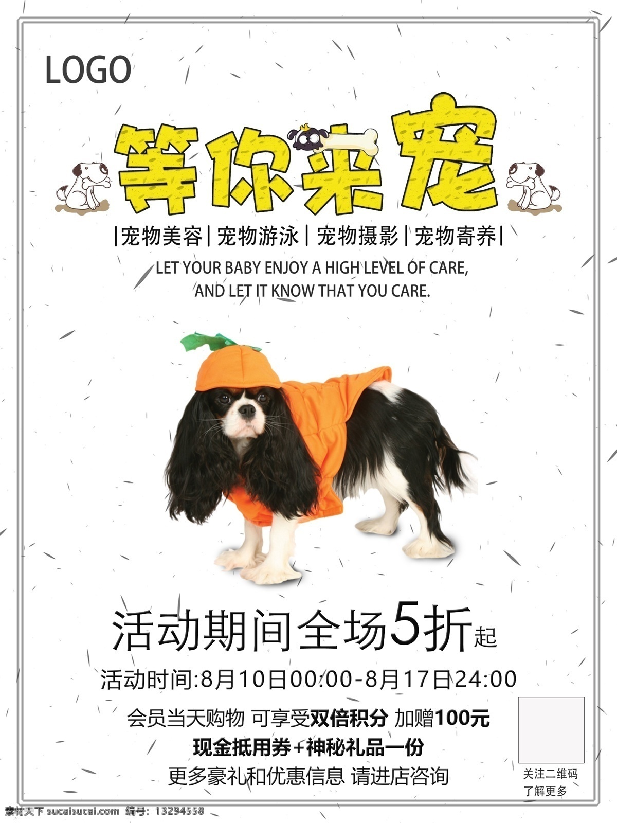 宠 宠物 店 促销 海报 宠物店海报 狗狗海报 等你来宠 宠物店促销 小清新