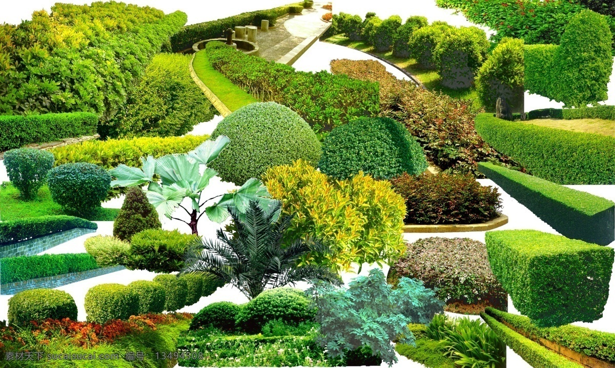 树 绿色植物 小草素材 植物素材 草坪素材 花草树木 花草素材 植物花卉