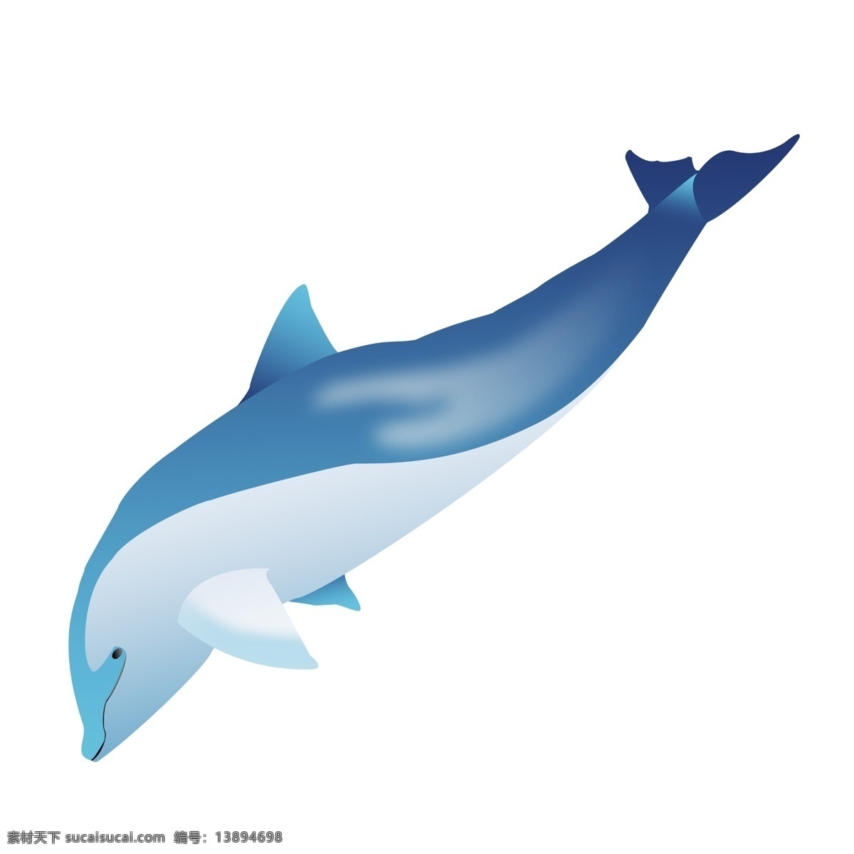 可爱蓝色海豚 深海鱼 海洋 鱼类
