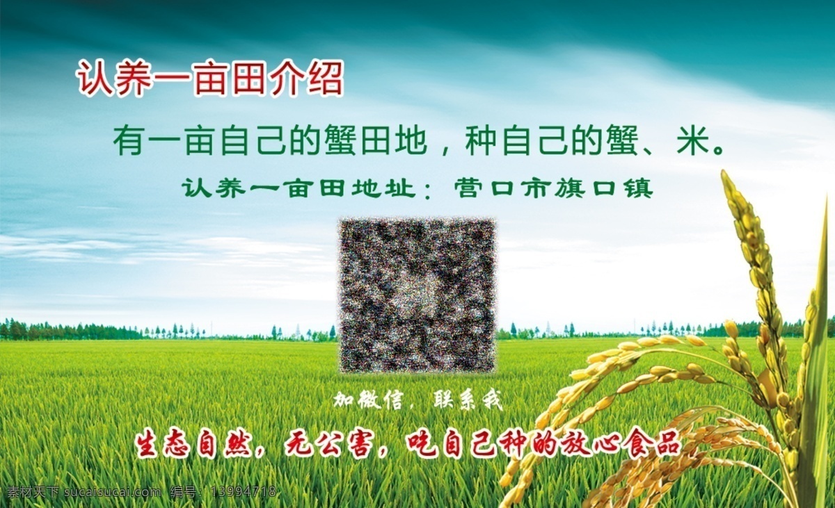 蟹田大米名片 蟹田 大米 名片 稻田 蟹 绿色 无农药 有机 无公害 盘锦 营口 一亩田 dm宣传单