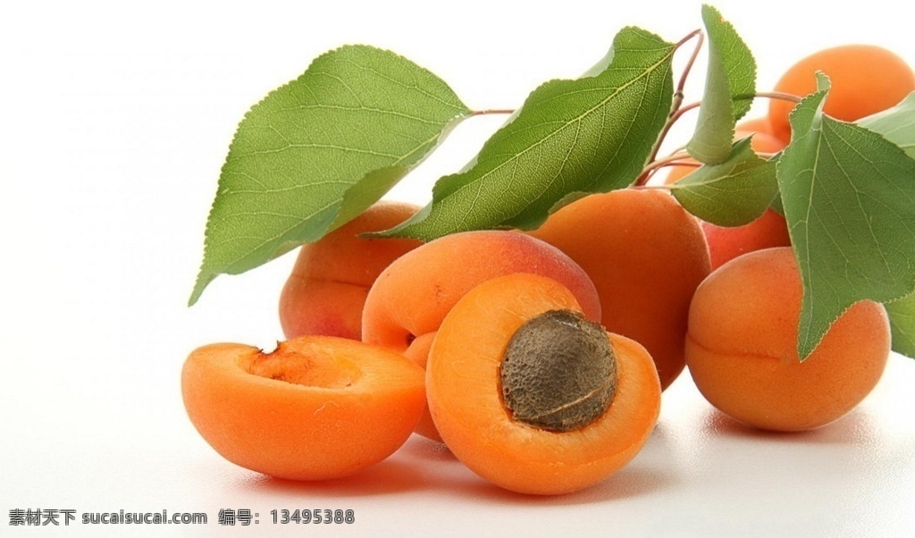 杏子 黄色 土黄色 水果 新鲜 绿叶 叶子 新鲜水果 脆甜 多汁 美味 美食 食物 一组水果图片 生物世界
