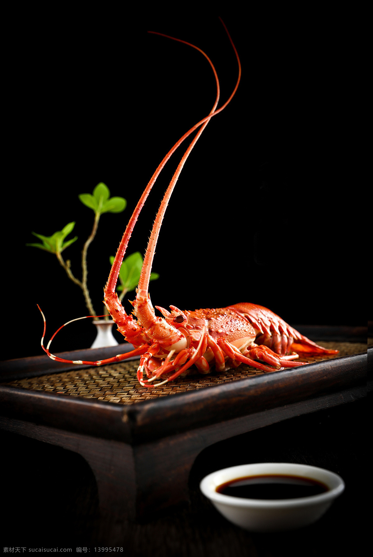 精致 龙虾 刺身 美味 日本 特色 料理 海鲜 餐饮美食 西餐美食