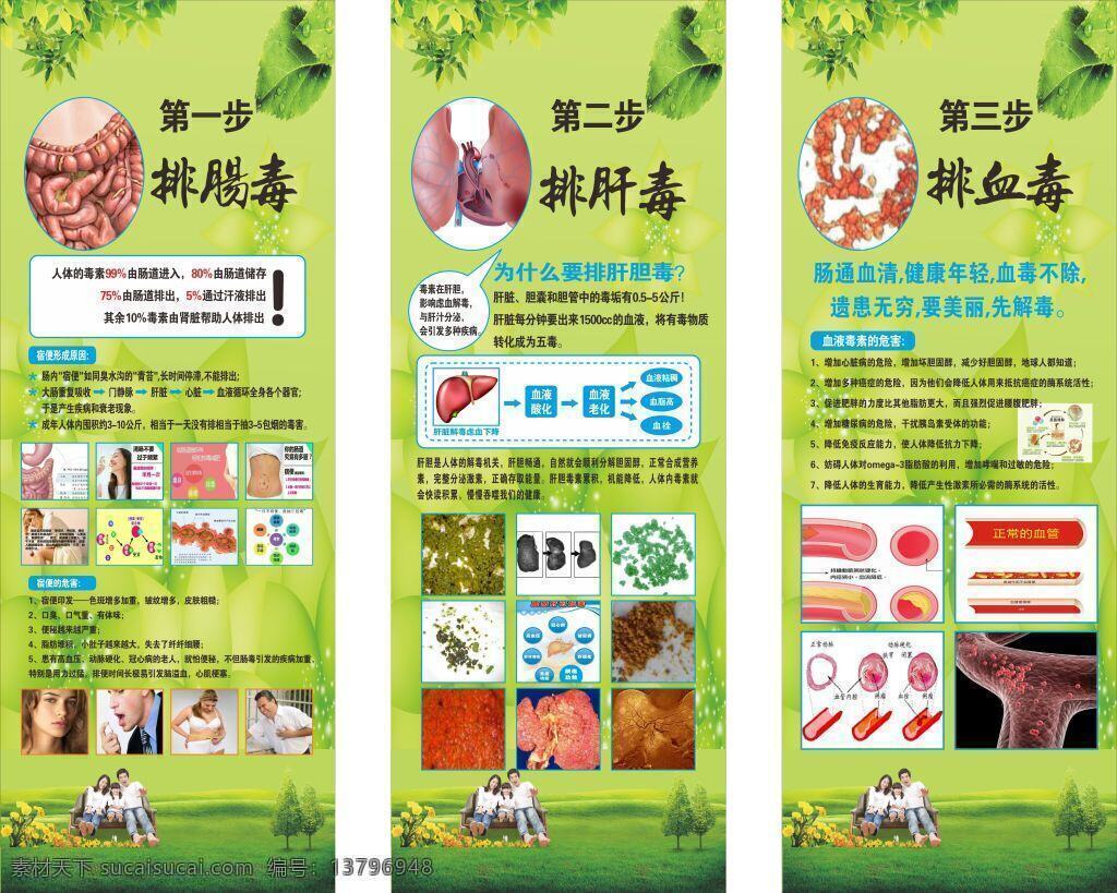 花 苑 排毒 展架 花之苑 肝毒 排版 黄色