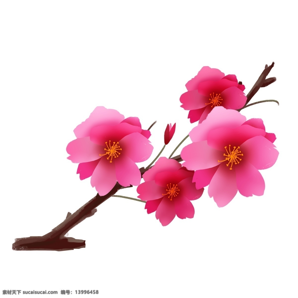 春季 樱花 装饰 插画 春季樱花 粉色的樱花 漂亮的樱花 创意樱花 粉色的花瓣 立春樱花 樱花插画