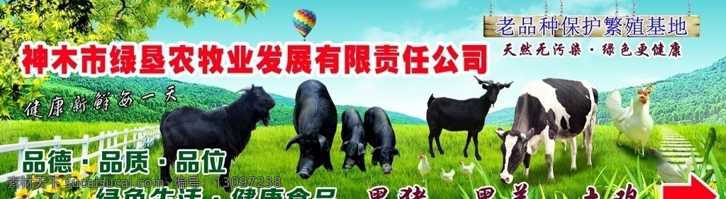 农业 新品种 农牧业宣传 传单 喷绘