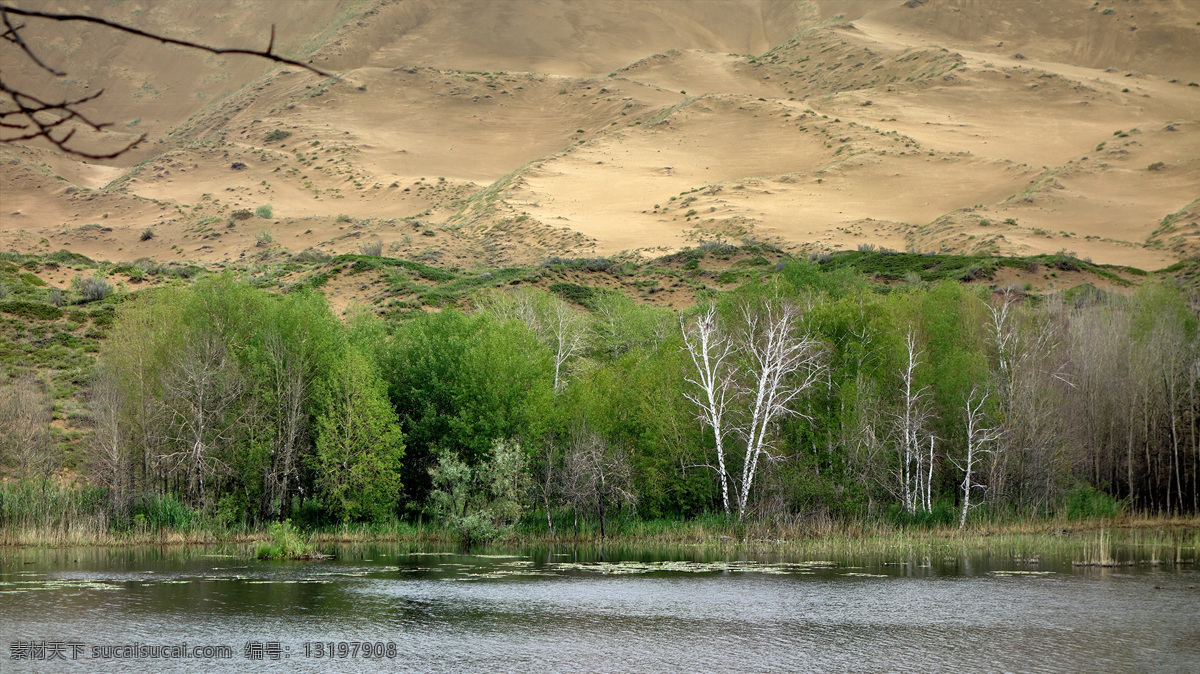 新疆 白沙 湖 风景