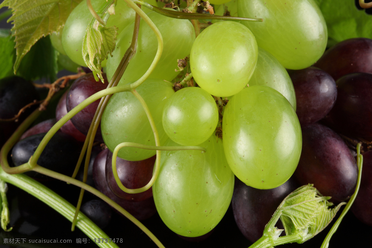 新鲜 葡萄 提子 新鲜水果 果实 成熟 特写 摄影图 高清图片 蔬菜图片 餐饮美食