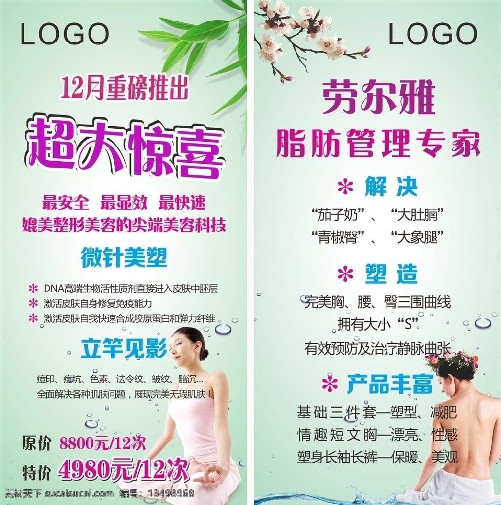 海报 展架 惊喜 树叶 梅花 女人 水 护理 养生 背景 清新 淡雅 皮肤 矢量