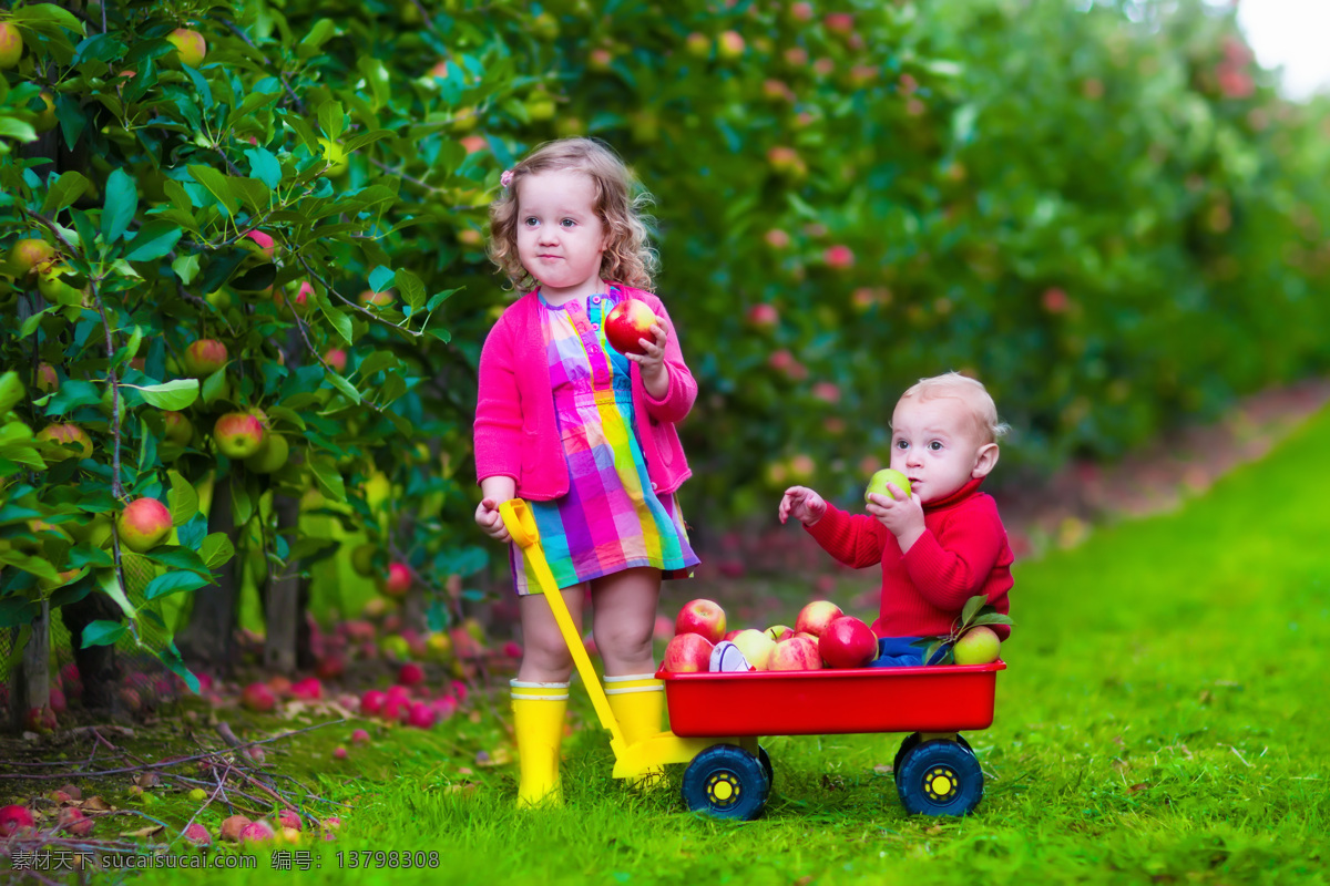 带 弟弟 摘 苹果 小女孩 草地 水果 婴儿 宝宝 玩耍的儿童 小朋友 快乐儿童 儿童幼儿 儿童摄影 儿童图片 人物图片