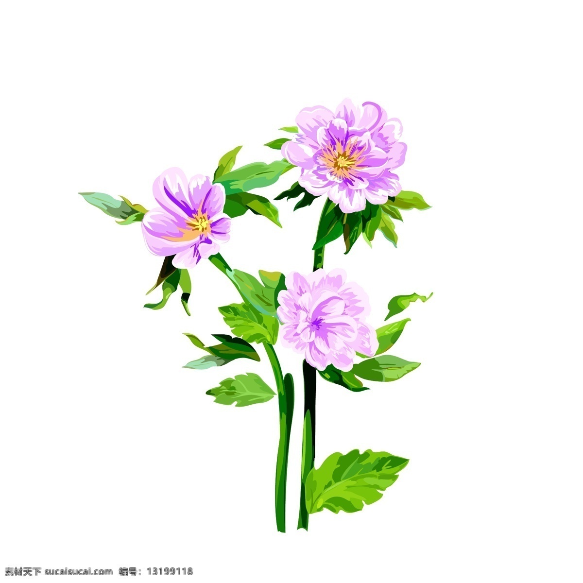手绘 水彩 风 植物 盆景 浅紫色 花卉 水彩风 花朵 绿叶