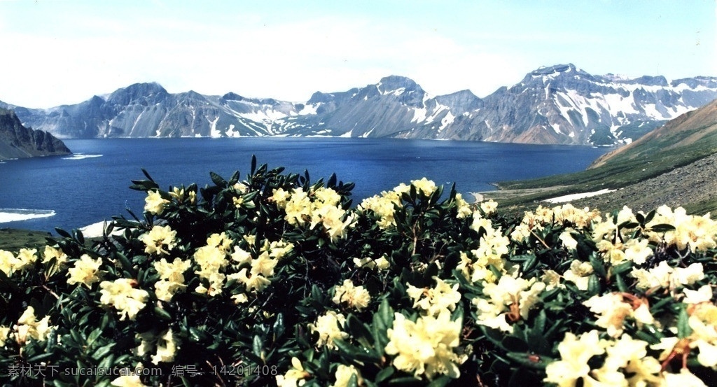 天山 冰河 冰山 栀子花 国内旅游 旅游摄影