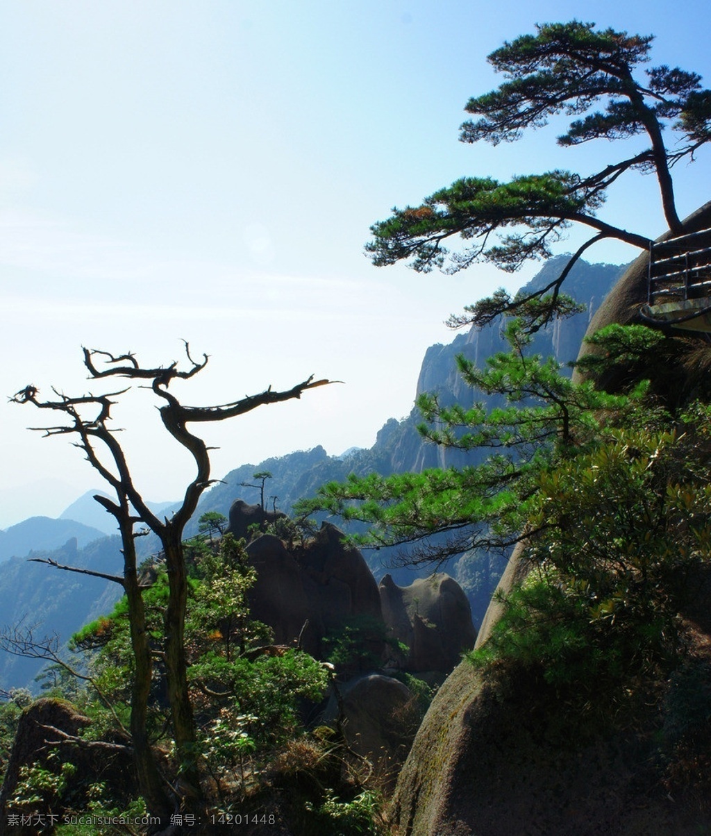 三清山迎客松 三清山 迎客松 迎客松图 古松树 风景画 风景 风景摄影 山水风景 山水摄影 装饰画模板 风景素材 山水素材 古树 旅游胜地 风景山水摄影 自然景观 江西 上饶 国内旅游 旅游摄影