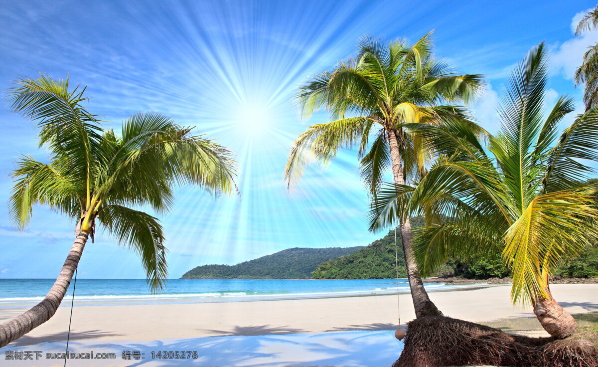 高清 海边 椰子树 风景 阳光 沙滩 大海 海岸