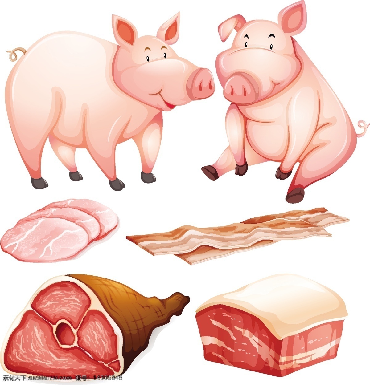 猪和猪肉 卡通 猪 猪肉 火腿 红肉