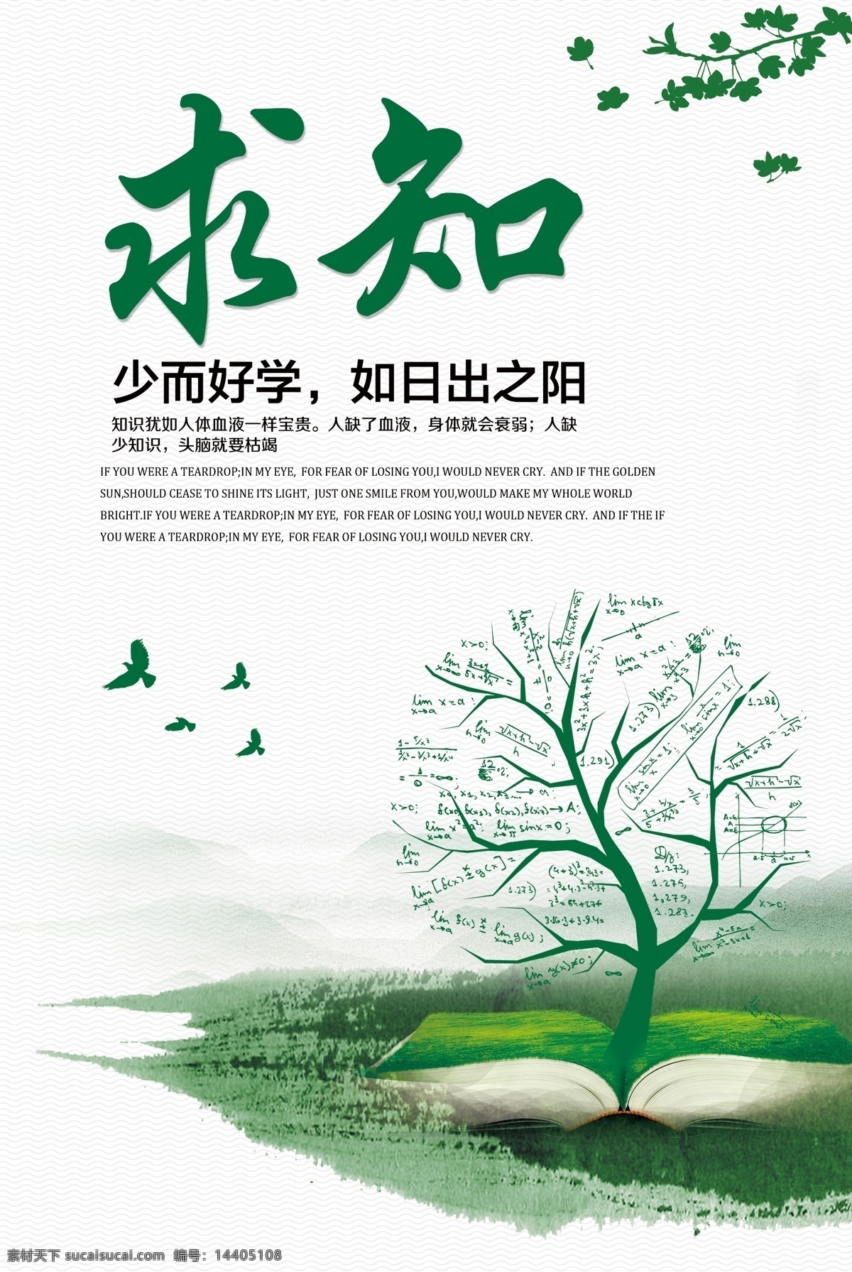 绿色调 绿色的树 飞鸟 好学求知 励志展板 励志 文化艺术 传统文化