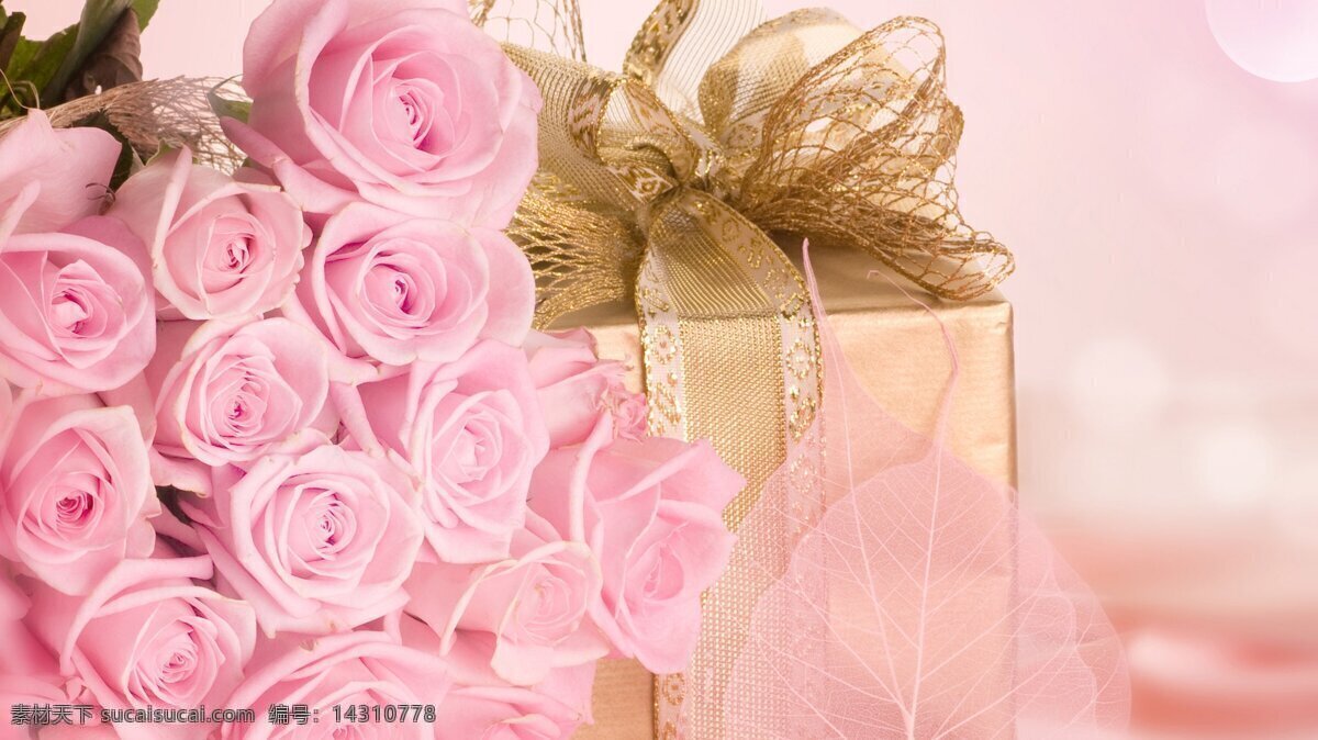 粉色 玫瑰花 礼品盒 高清 礼物 七夕礼物 情人节 花朵 花卉