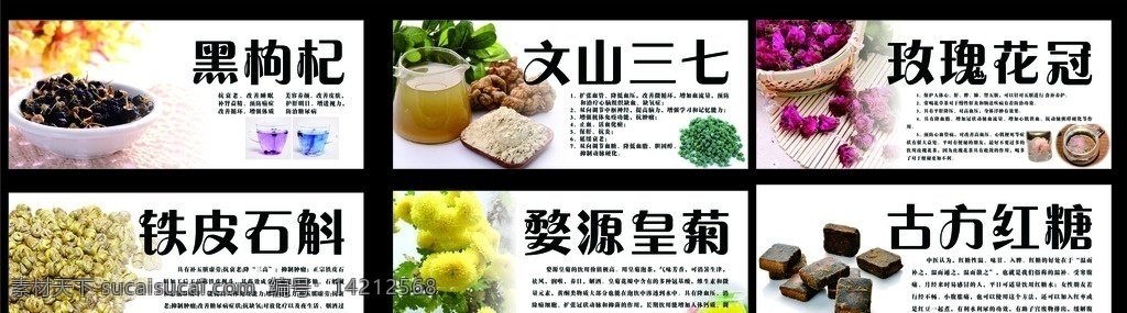 药材等 黑枸杞 三七 铁皮石斛 玫瑰 皇菊 展板