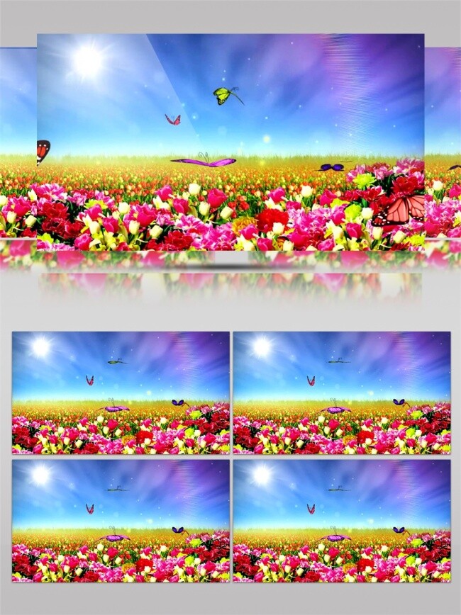 草地 蝴蝶 视频 彩色花园 蝴蝶花开 美丽风景 田园风光 高质量 背景 特效