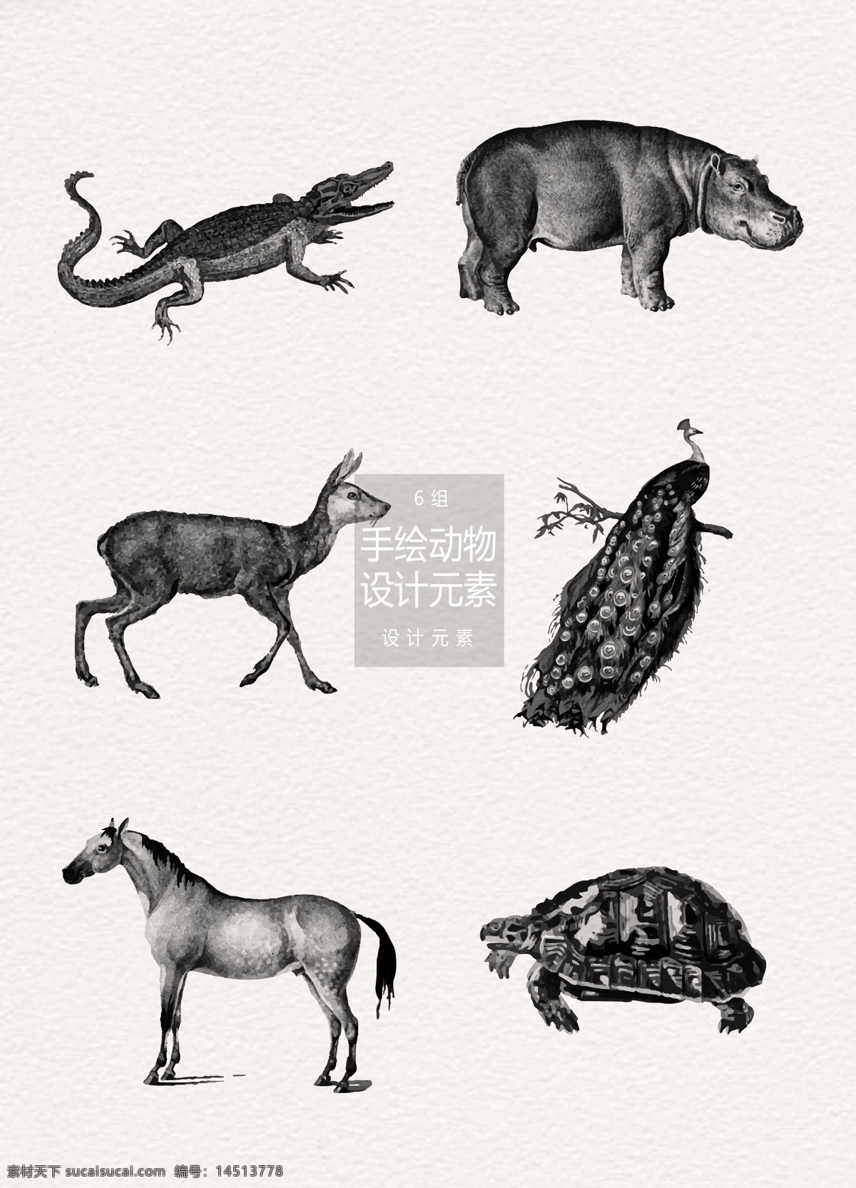 手绘 动物 插画 矢量 元素 设计元素 森林 鳄鱼 乌龟 手绘动物 动物插画 孔雀 河马 马