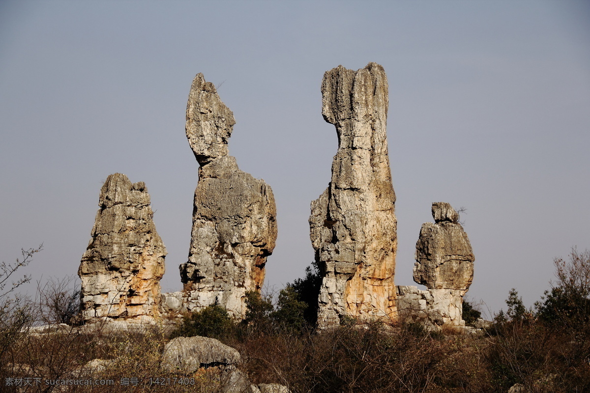 云南 石林 乃古石林 风景 石头 石林风光 自然景观 风景名胜 灰色