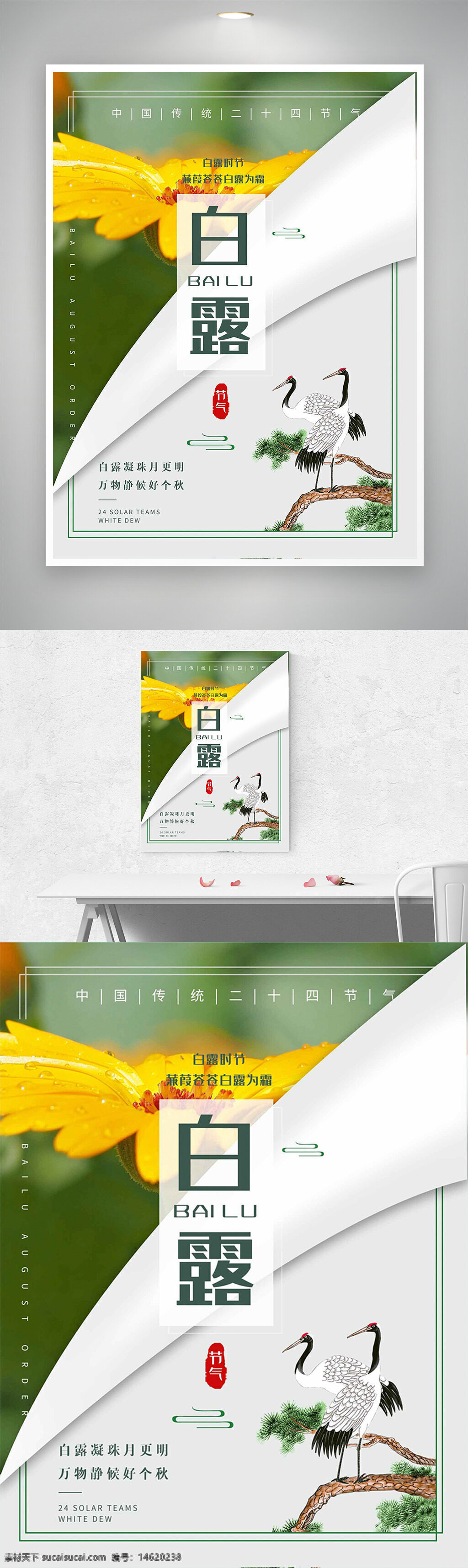 白露 节气宣传 二十四节气 传统文化 仙鹤插画 手绘风格 创意设计 秋季主题 白露凝珠 自然风光 明月 清新风格 气候变化