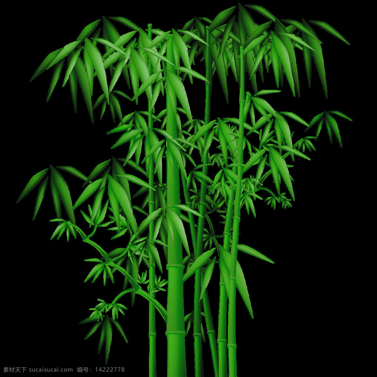 竹子 绿色 竹叶 竹条 植物 叶子 自然 免扣图 png元素 底纹边框 背景底纹
