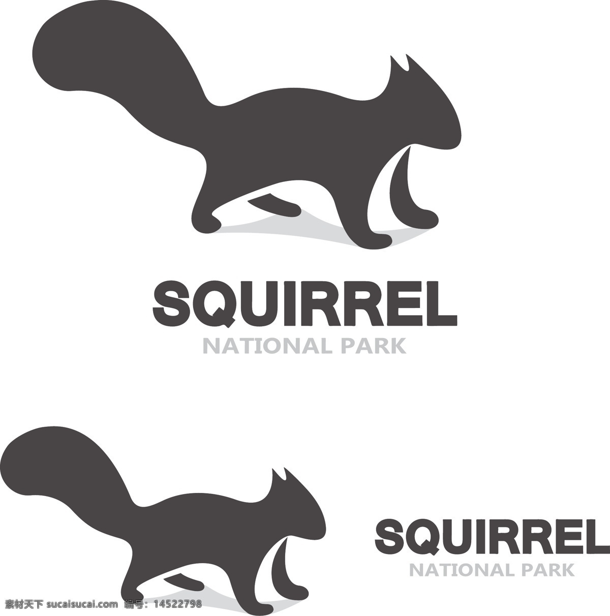 动物 个性 logo 矢量 标志 图形 计 创意 小动物 松鼠 白色