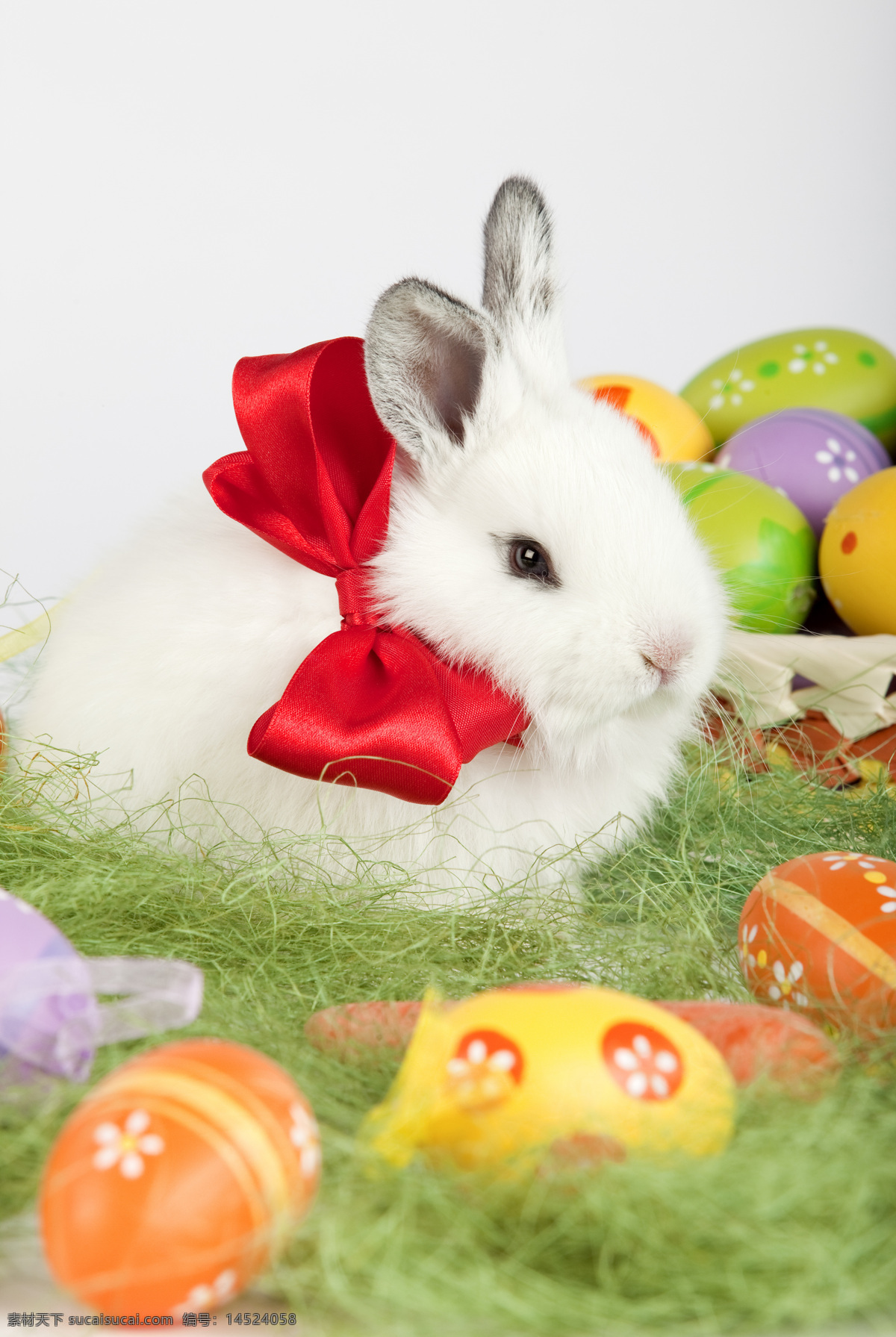 兔子 彩蛋 复活节礼物 胡萝卜 草 蝴蝶结 陆地动物 生物世界