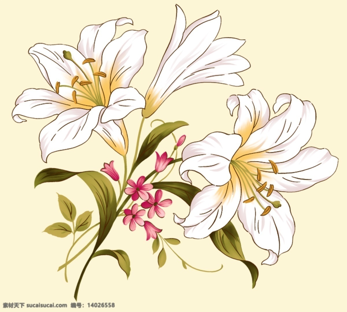 最新 韩国 花纹 百合花 psd素材 源文件库