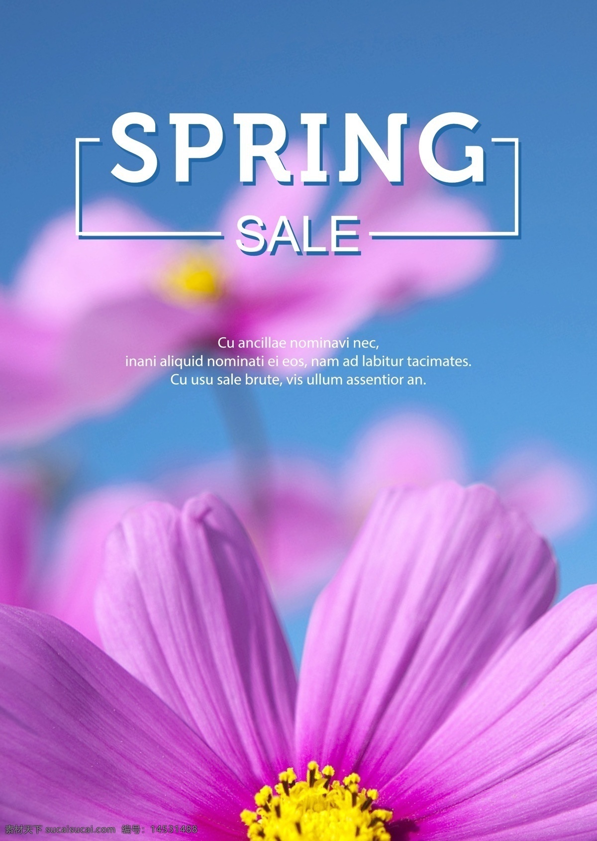 粉色 花 创意 春季 促销 海报 季节 春 紫花 摄影照片 活力