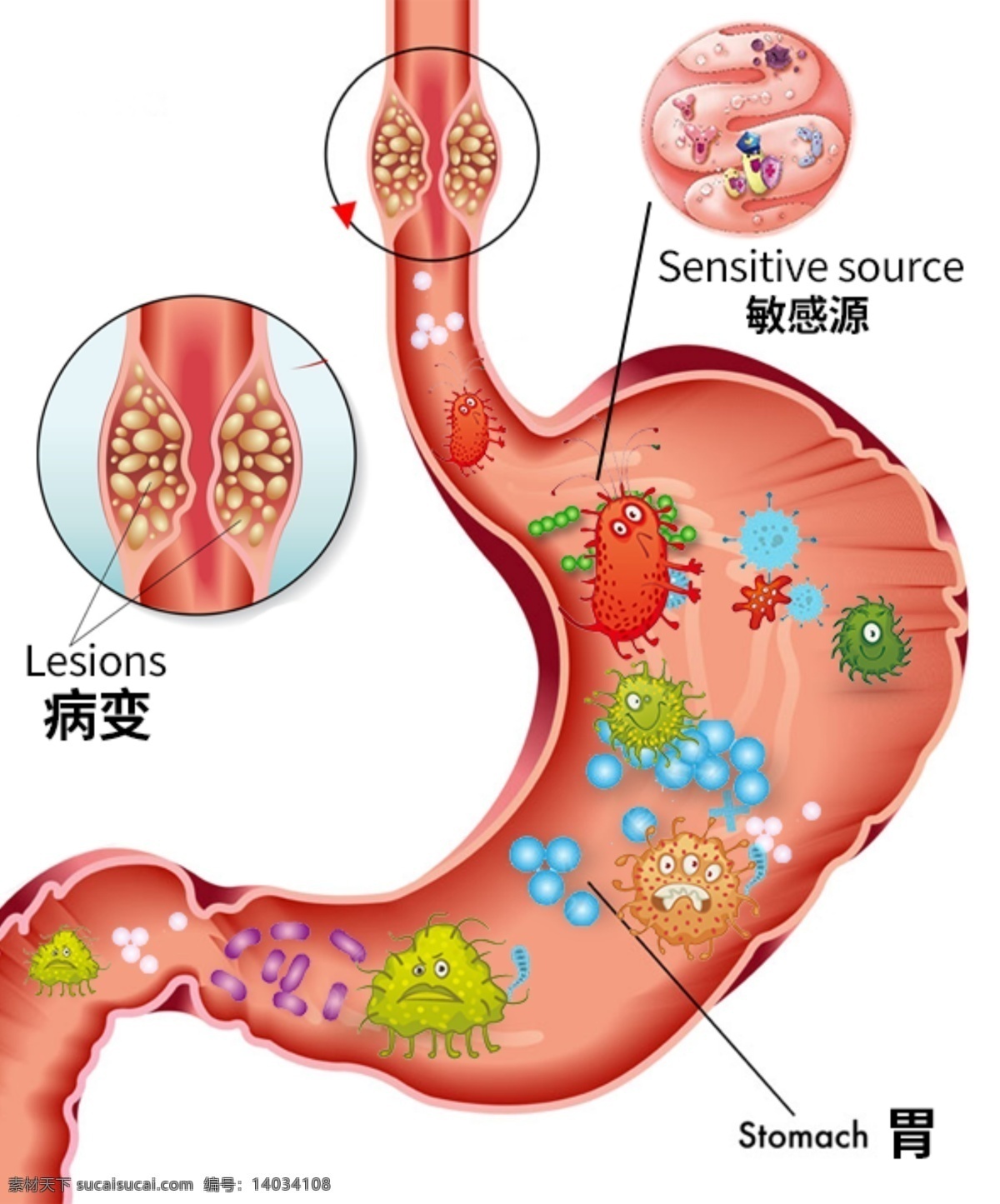 肠道 细菌 图 装饰 图案 元素 效果 平面广告 卡通 插画 竹纤维 设计素材 详情 页 病菌