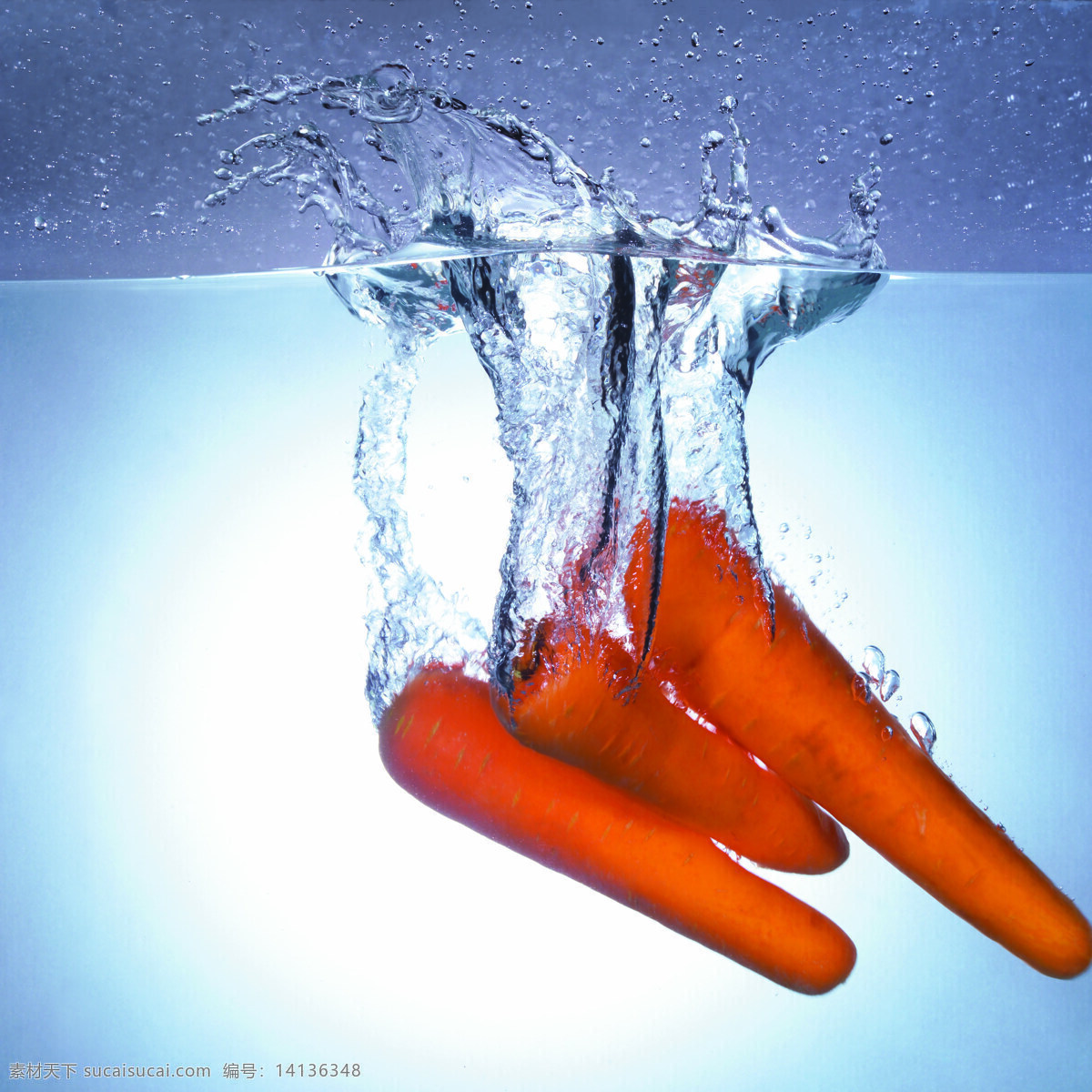 水中 胡萝卜 蔬菜 水 农业设计素 生物世界