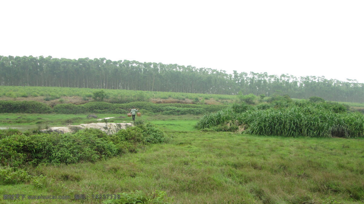 草地 春天 绿地 农村 田园风光 田园风景 乡村 自然景观 psd源文件