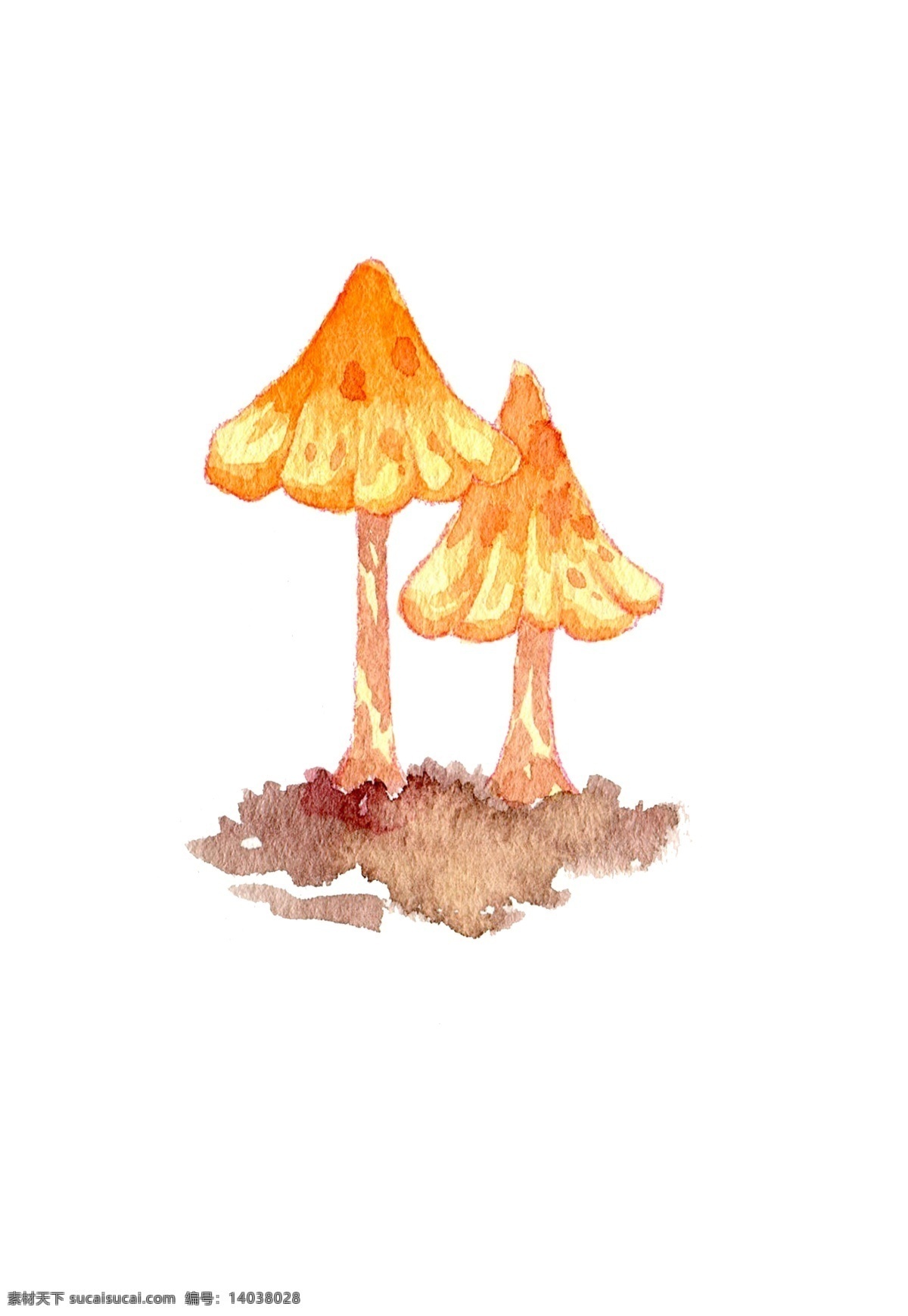 秋季 菇类 菌类 蘑菇 手绘 蘑 水彩 手绘蘑菇 水彩蘑菇 秋日蘑菇 蘑菇插画 食用蘑菇 秋天