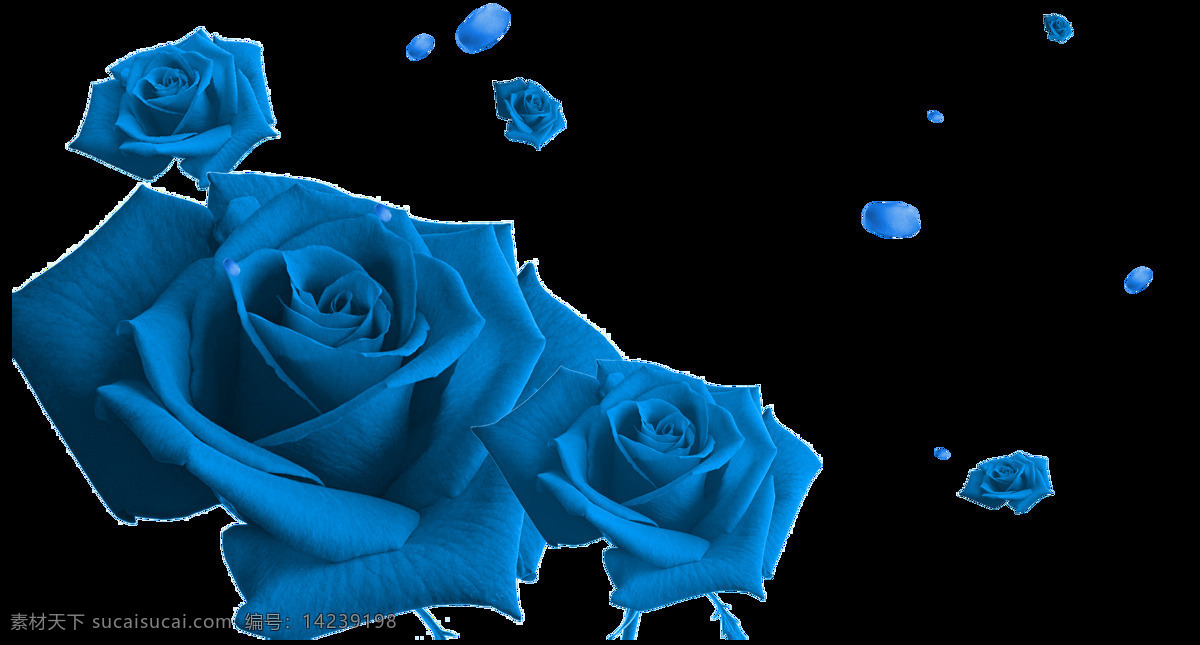 蓝色 玫瑰 漂浮 花瓣 元素 蓝色妖姬 情人 花朵