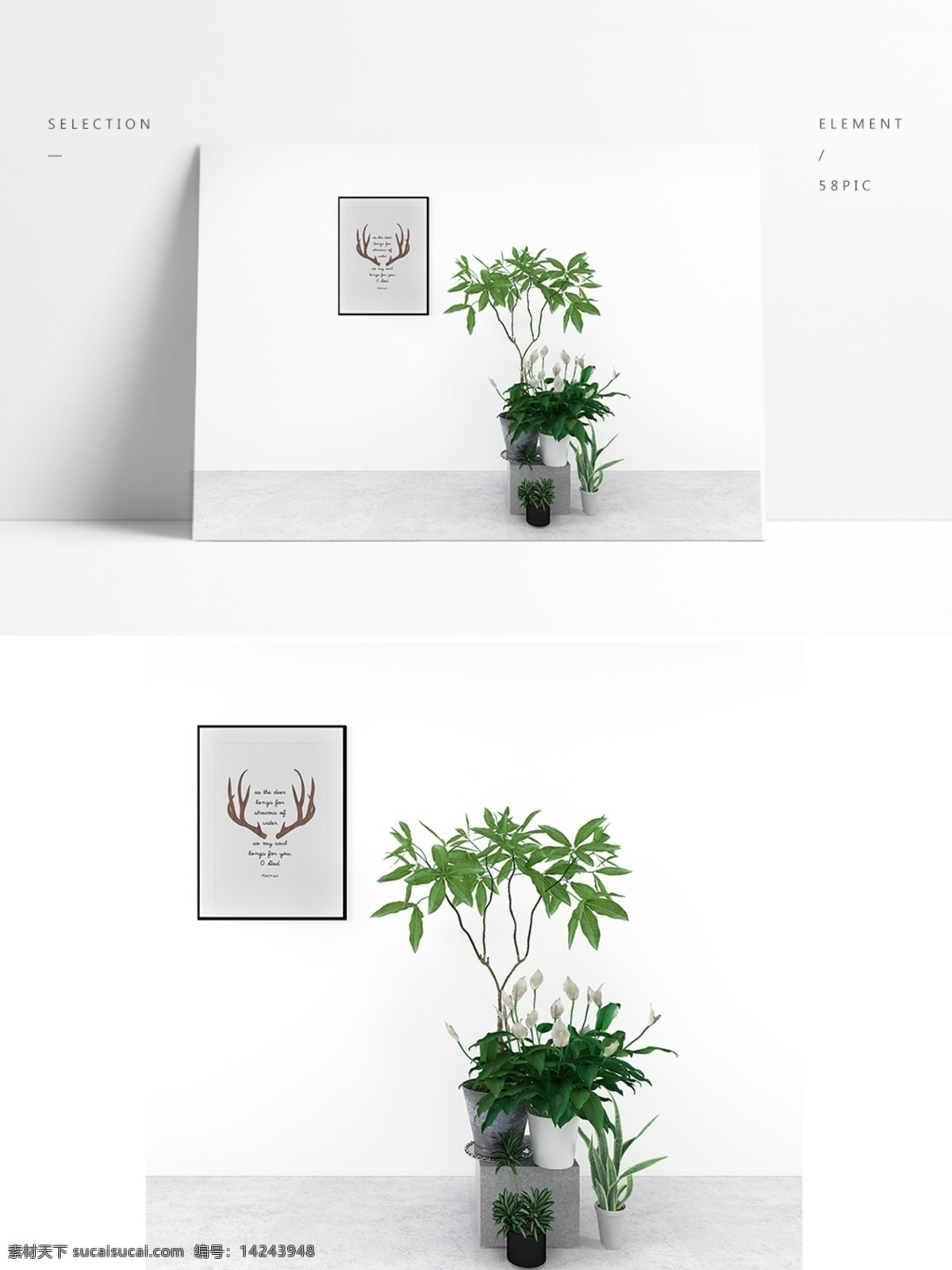 通用 景观 盆栽 模型 3d 简约 展示 空间 通道