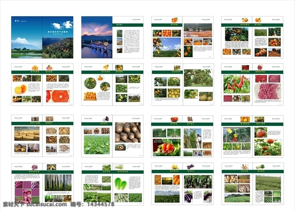 农产品画册 农业 农产品 特产 产品图册 农家菜