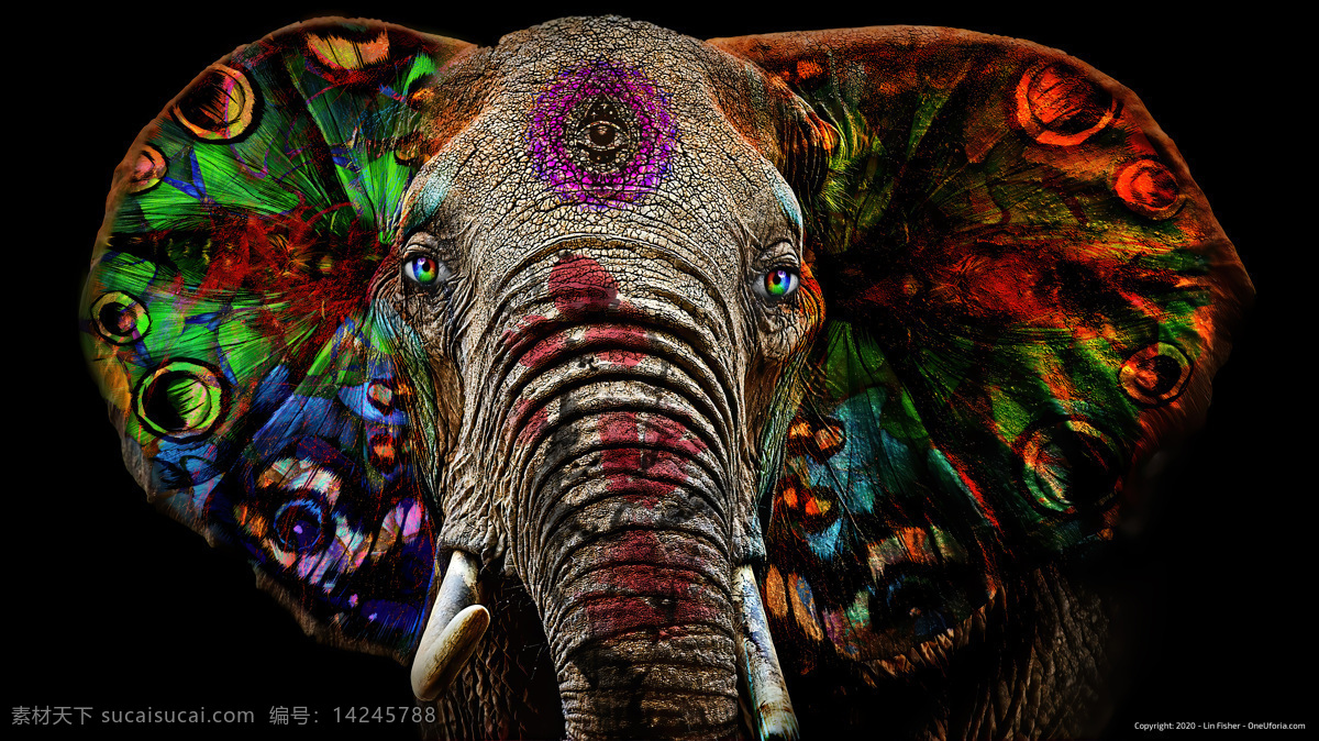 彩绘 大象 野生动物 背景 野生 动物 生物世界
