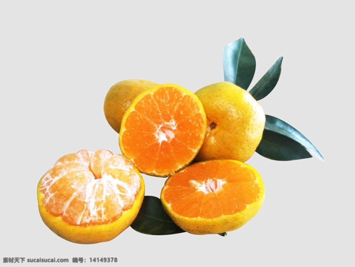 蜜桔切面图 蜜桔 蜜橘 橘子 桔子 带叶桔子 生物世界 水果