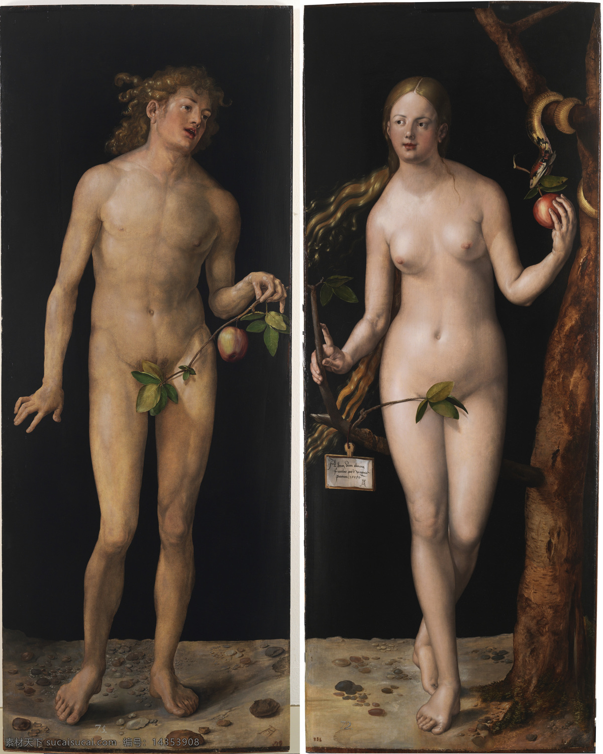 丢勒 亚当与夏娃 艺术 黑色