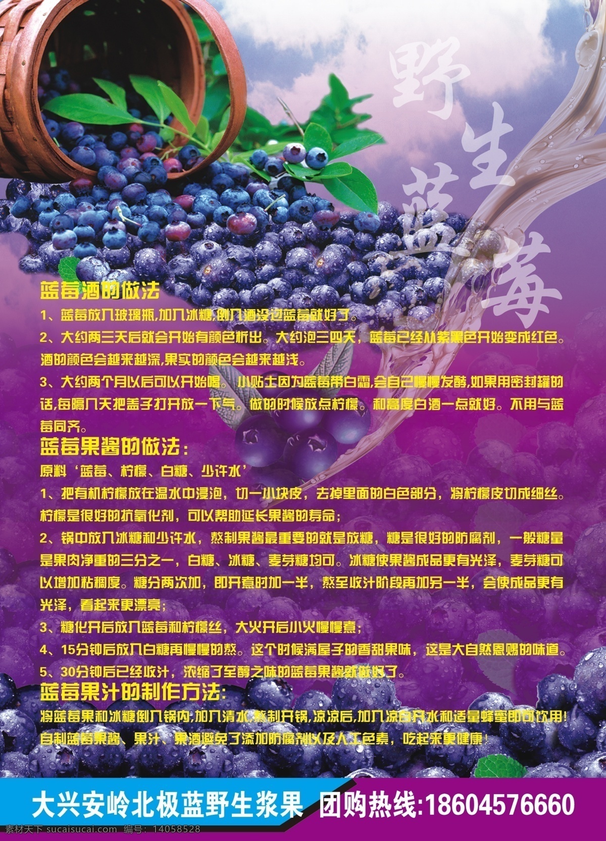 蓝莓酒宣传单 野生 蓝莓 蓝莓酒 宣传单 dm 蓝莓酒介绍 dm宣传单 广告设计模板 源文件