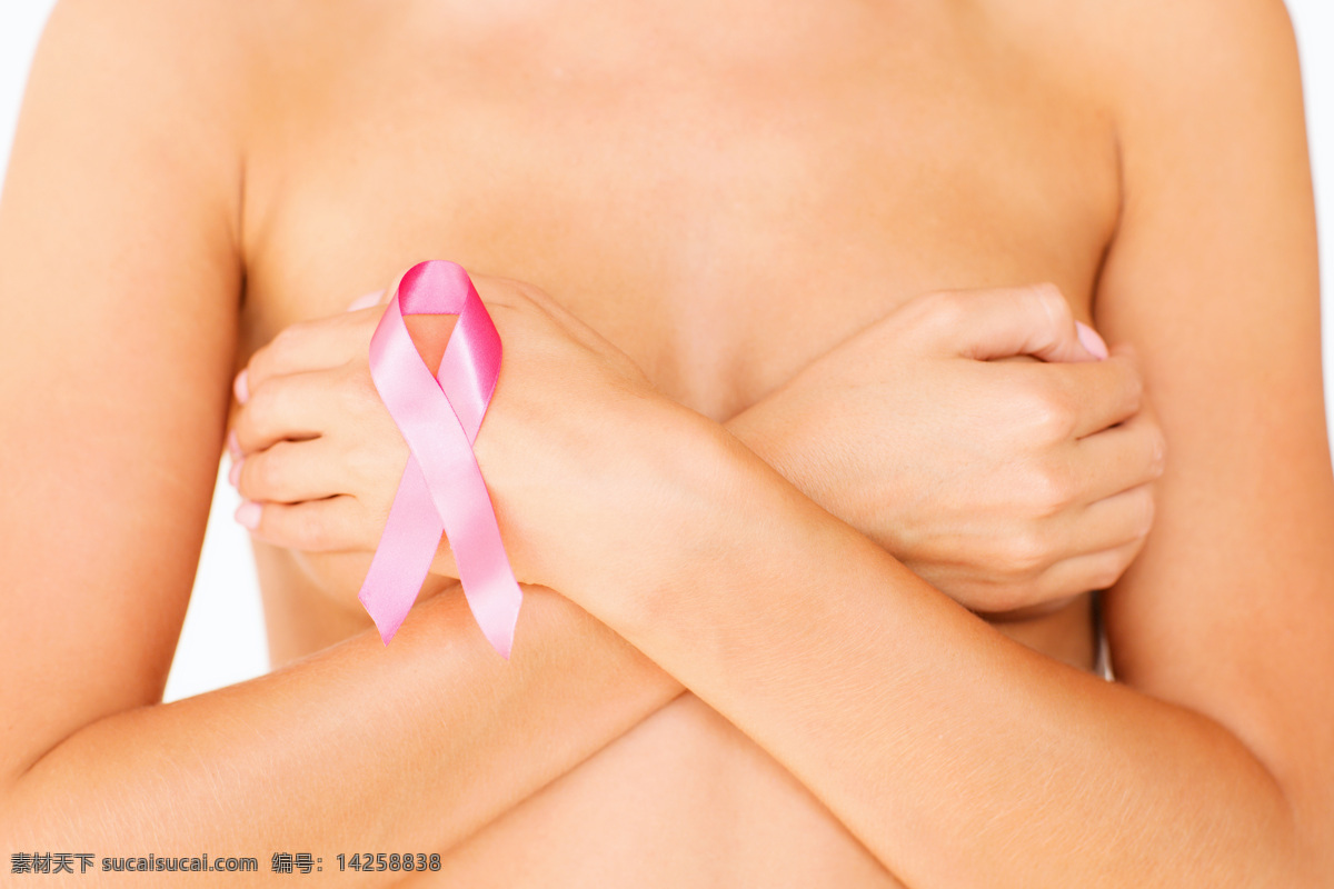 关注 乳房 健康 胸部 乳房呵护 关注胸部健康 女性健康 女性身体 人体 人体器官图 人物图片