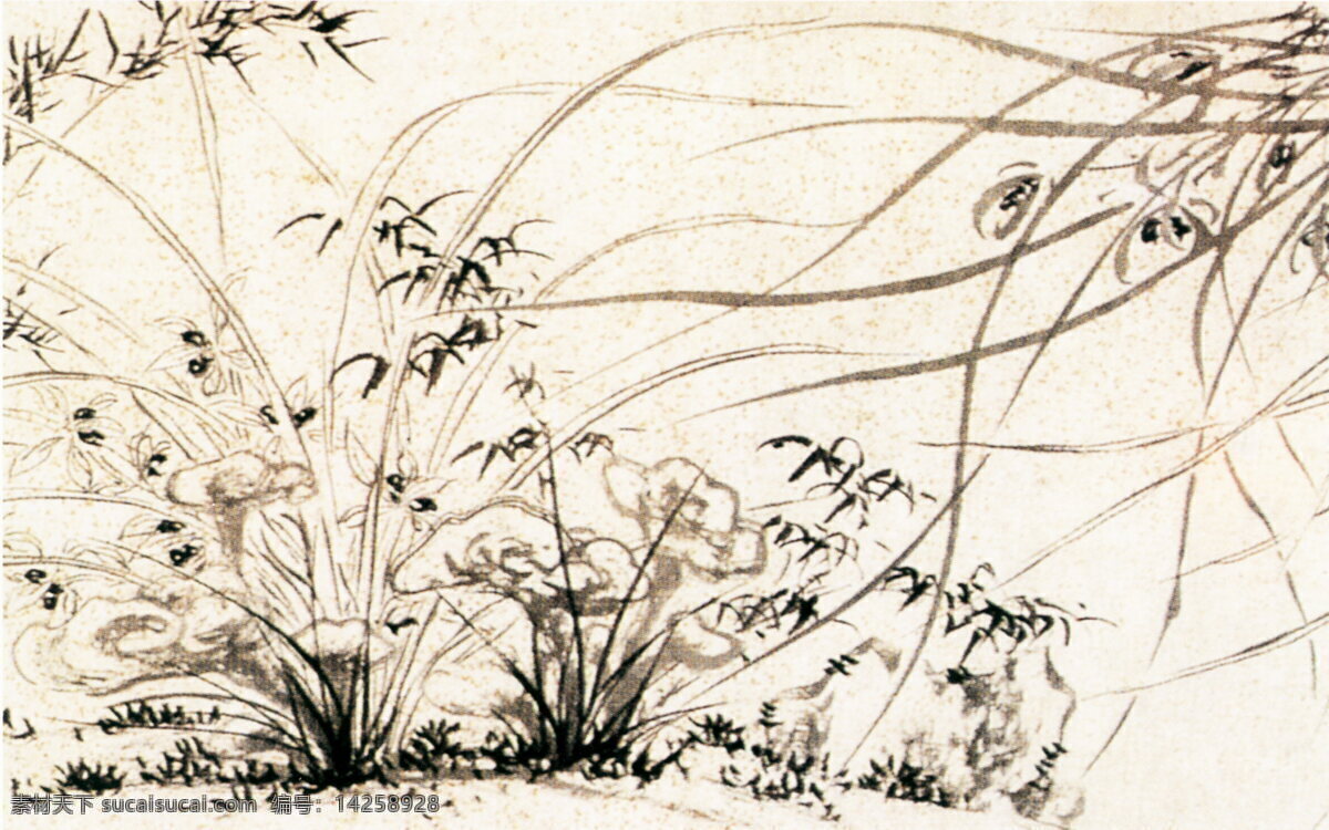 竹兰石图b 花鸟画 中国 古画 中国古画 设计素材 花鸟名画 古典藏画 书画美术 白色