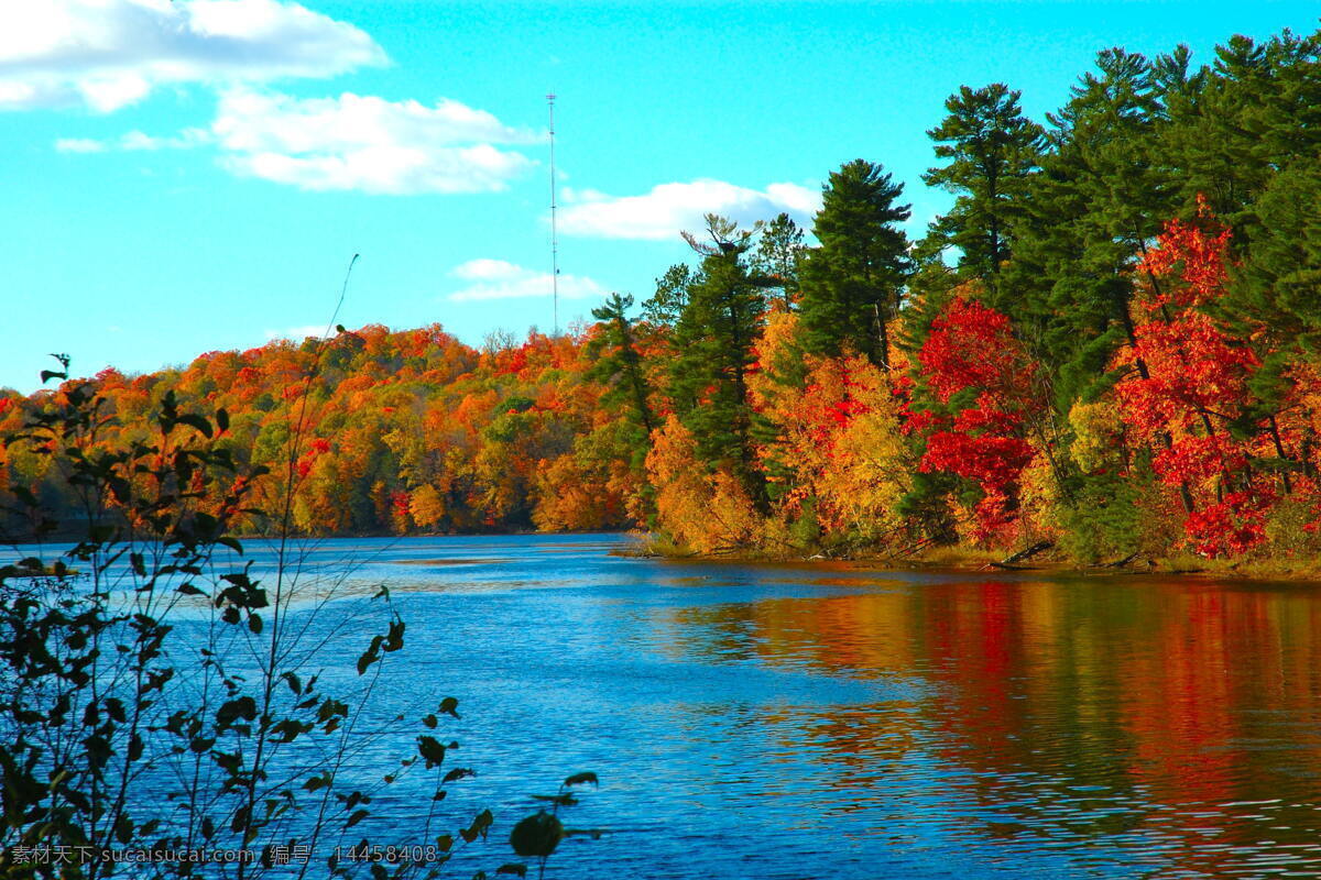 秋天的河流 秋天 河水 湖泊 树林 枫树 蓝天 倒影 自然风景 自然景观