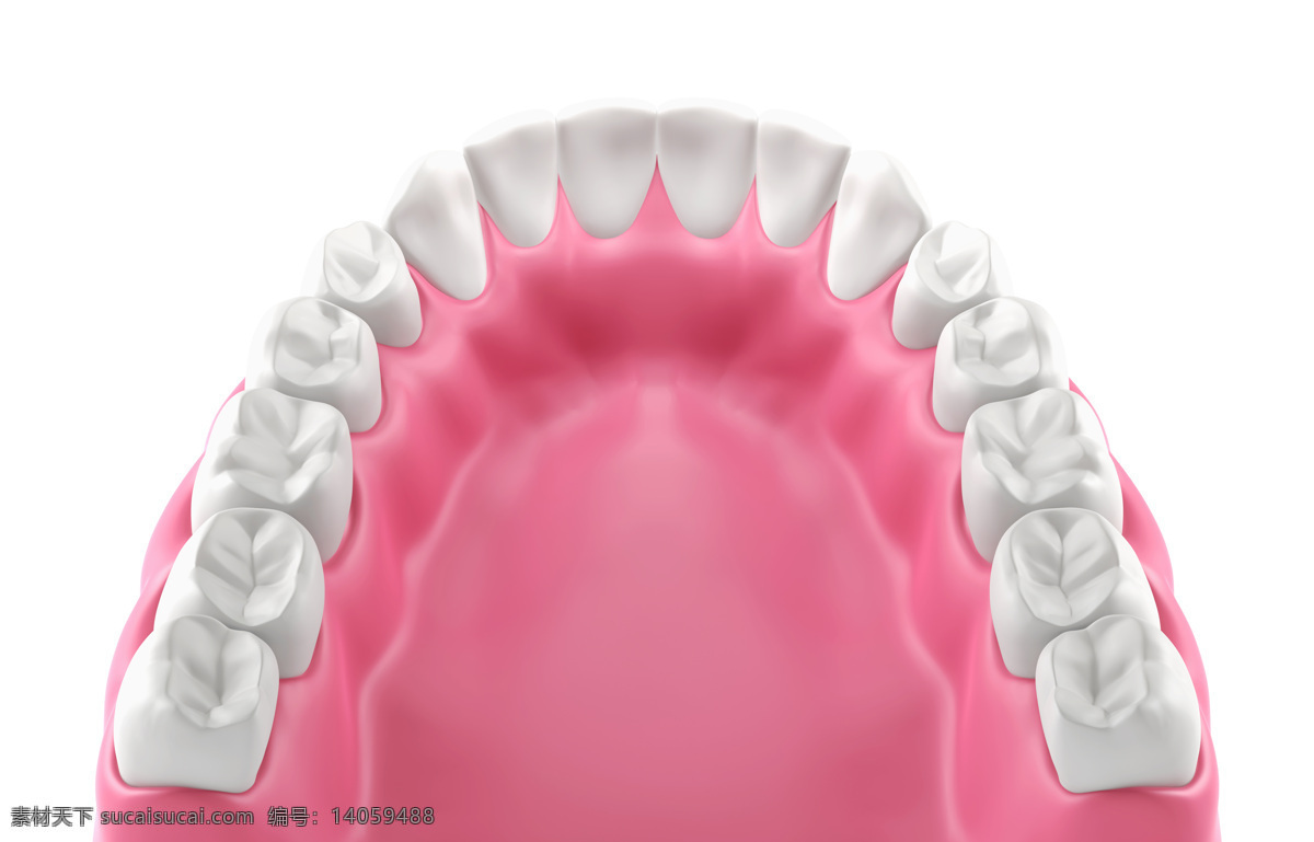卡通 牙齿 模型 牙科 牙医 牙齿保健 牙齿美白 口腔科 医疗护理 现代科技