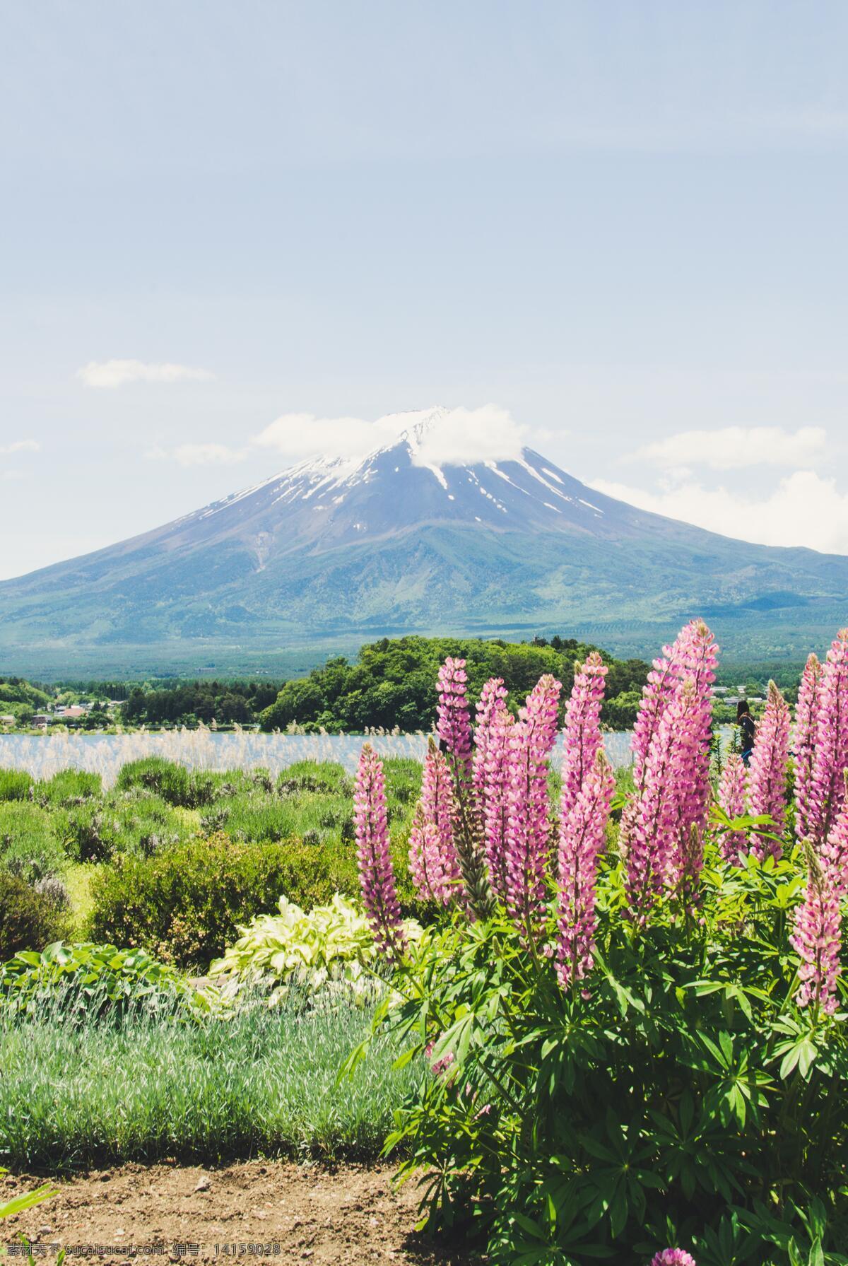 富士山 日本旅游 山峰 火山 自然景观 山水风景