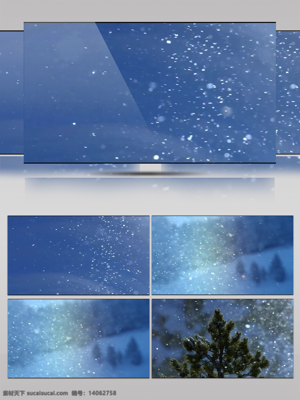 雪 中 松 树林 视频 雪花 下雪 松树 蓝色 唯美 白色