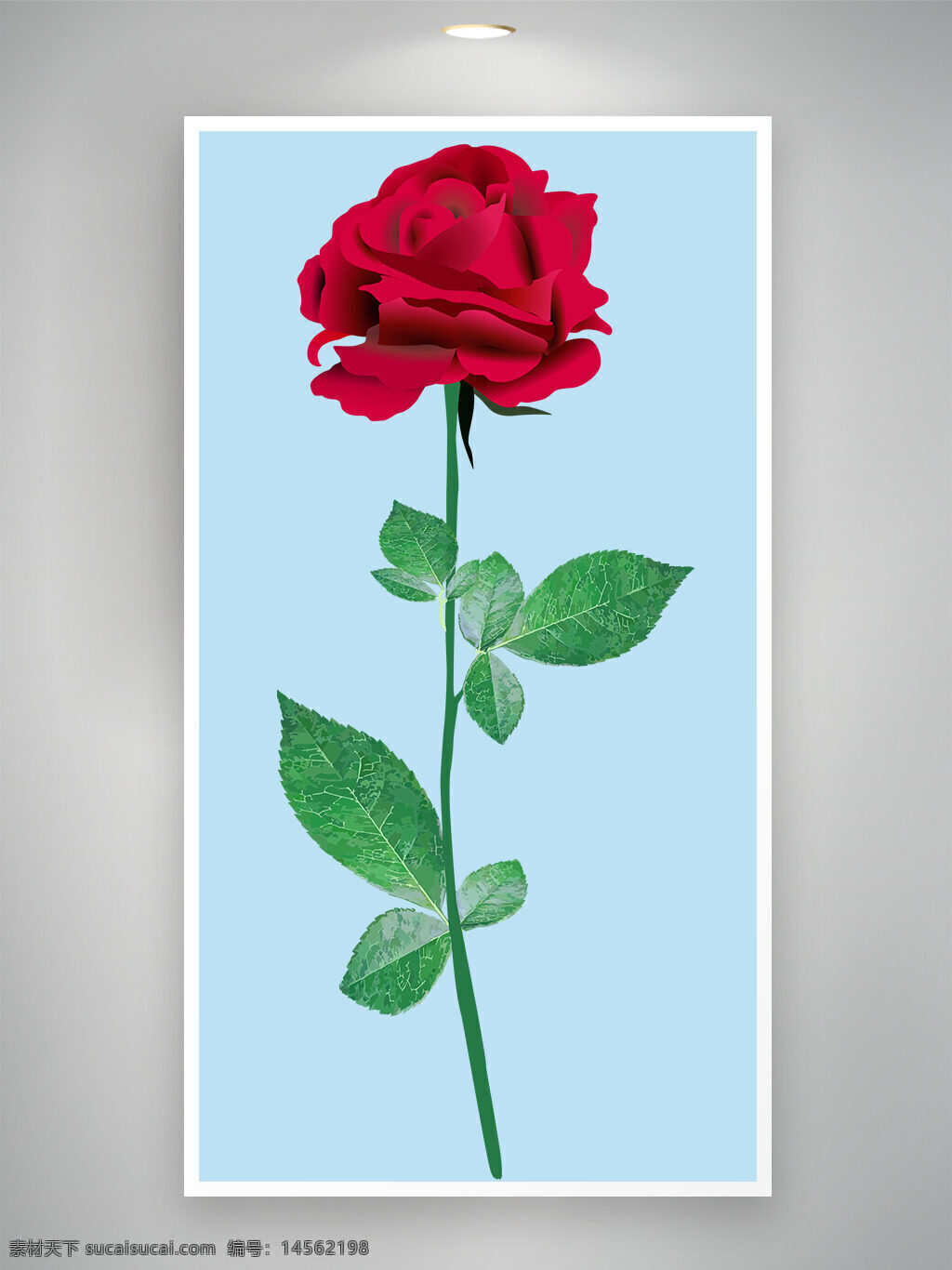 红玫瑰 玫瑰 爱情花 代表爱情
