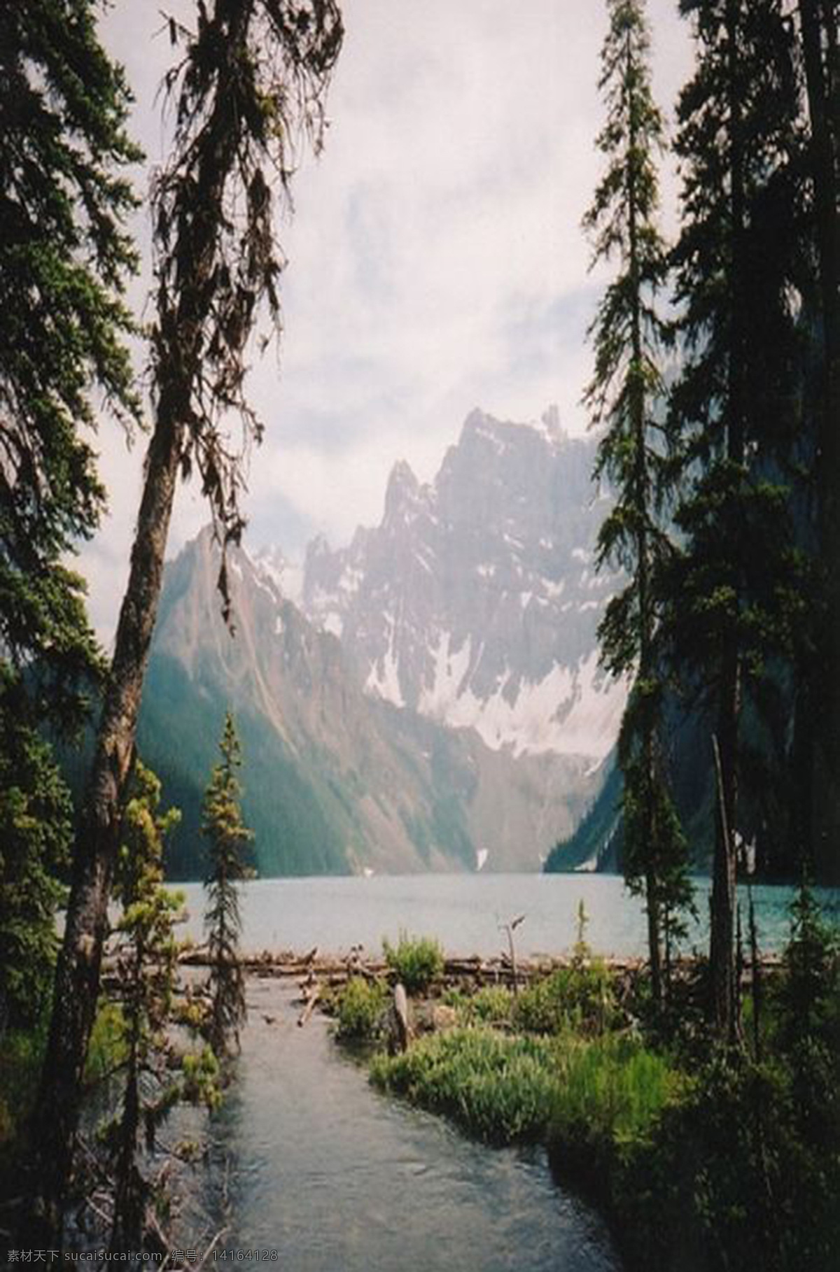 森林 山水 风景 构图