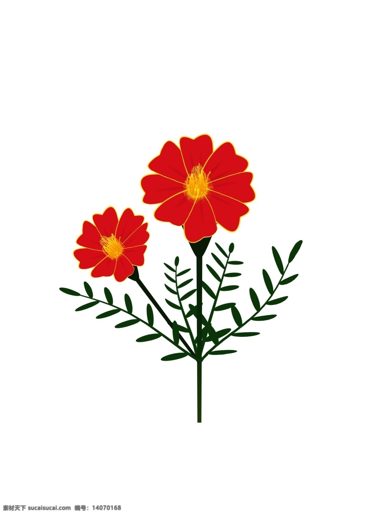 简约 手绘 矢量 红色 菊科 孔雀 草 花朵 元素 孔雀草 草本植物 绿叶 花蕊 花瓣 设计元素